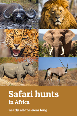 Safari hunts in Africa