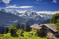 hunting Ibex in Austria