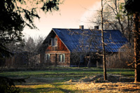 hunting Red-stag in Latvia