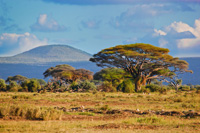 hunting in Kenya