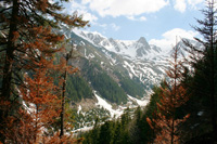 hunting Red-stag in Romania