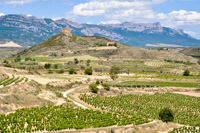 hunting Chamois in Spain