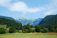 hunting Ibex in Slovenia