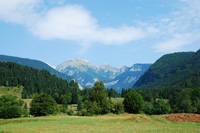 hunting in Slovenia
