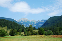 hunting Red-stag in Slovenia